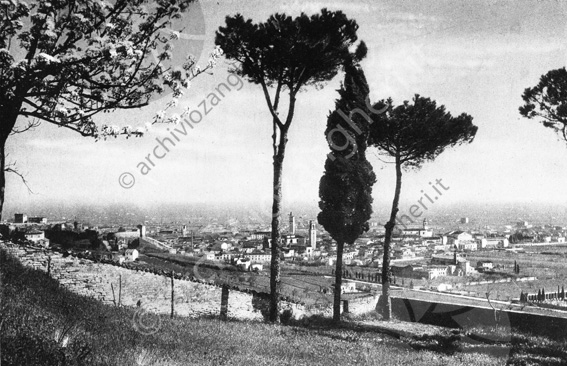 Veduta panoramica di Cesena Vista alberi
