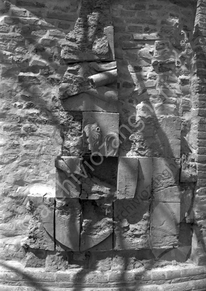 Stemma in cotto Rocca Malatestiana Pezzi di pietra