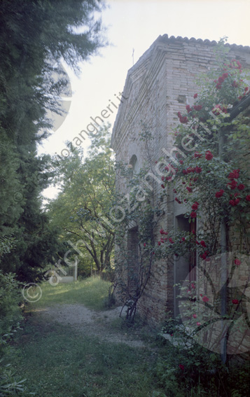 Viale Celincordia Rose rampicanti sentiero chiesetta