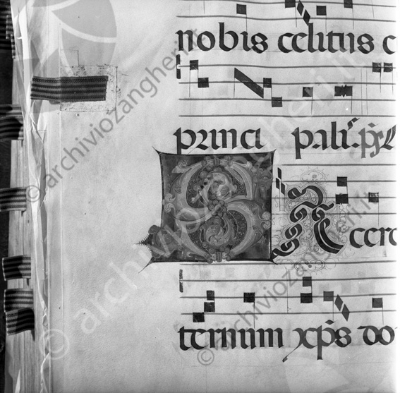 Codice Biblioteca Malatestiana particolare Miniatura spartito musicale