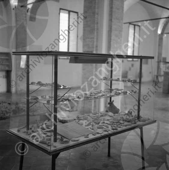 Antichi resti Matelica Museo Biblioteca Malatestiana Reperti archeologici teca di vetro