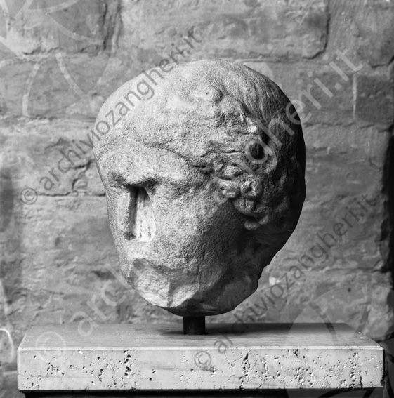 Testa in pietra museo Biblioteca Malatestiana Reperto archeologico testa di uomo