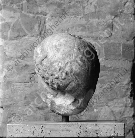Testa in pietra museo Biblioteca Malatestiana vista da dietro Reperto archeologico testa di uomo