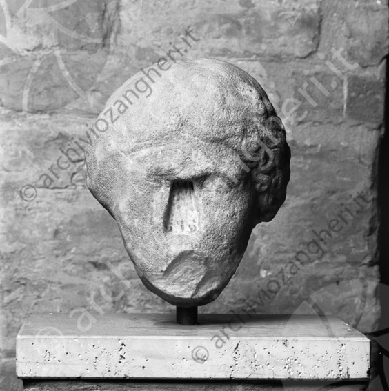 Testa in pietra museo Biblioteca Malatestiana vista da dietro Reperto archeologico testa di uomo