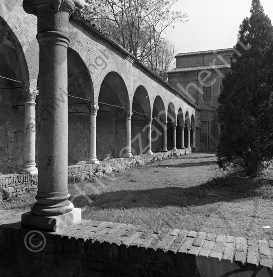 Portici giardino Biblioteca Malatestiana Chiostro di S.Francesco Chiostro di San Francesco colonne capitelli portico muretto
