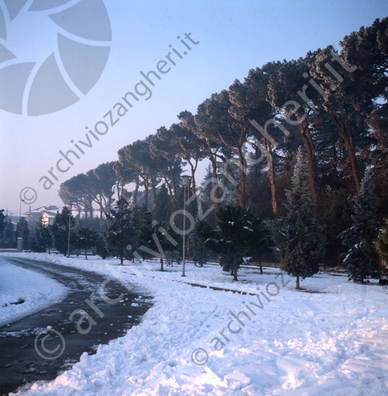 Cesena con la neve  Strade innevate alberi pini lampioni