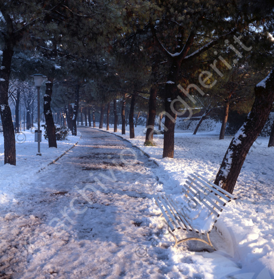 Cesena con la neve vialetto pedonale Viale Carducci vista verso porta Santi Strada innevata pista ciclabile pedonale lampione cestino panchina alberi pini