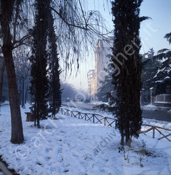 Cesena con la neve Viale Carducci dal vialetto pedonale in zona Ex-giardinetto Tennis Strade innevate alberi 