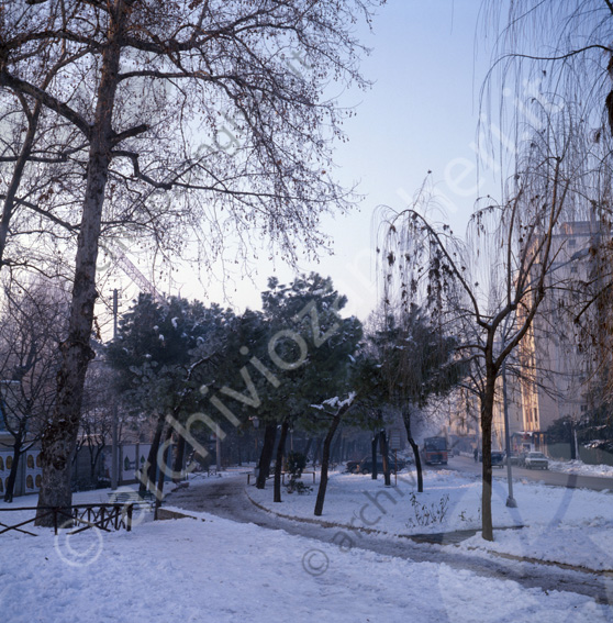 Cesena con la neve vialetto pedonale Viale Carducci Strade innevate alberi pista ciclabile pedonale panchine zona monumento ai caduti tram