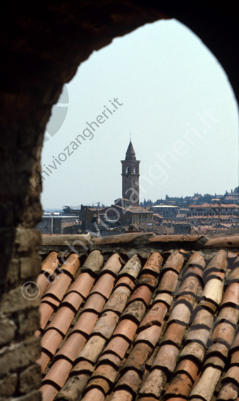 Vista dal campanile di S.Domenico Il Duomo tra i tetti panoramica Veduta cattedrale tetti tegole coppi