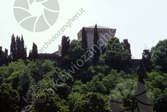 Vista dal campanile di S.Domenico Torrione Rocca Malatestiana Torrione rocca malatestiana alberi parco delle rimembranze