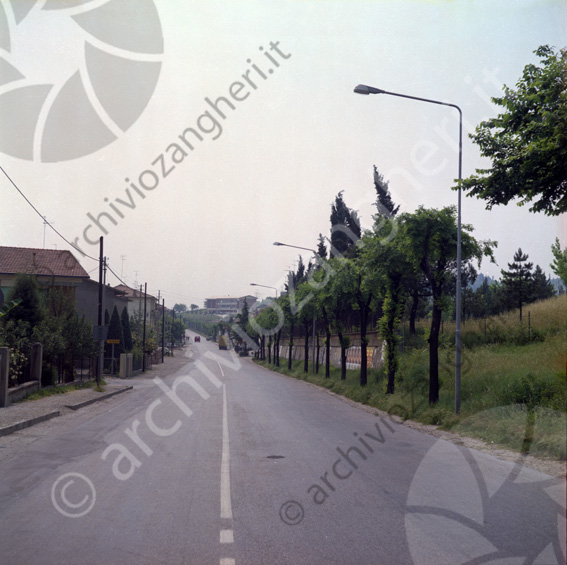 Via Fiorenzuola Illuminazione stradale Via grazia deledda strada case alberi viale alberato scuola case finali