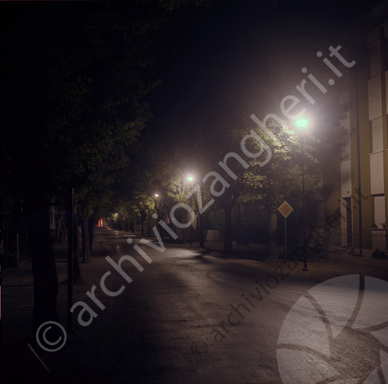 Via Farini Illuminazione stradale viale alberato strada lampione notturna