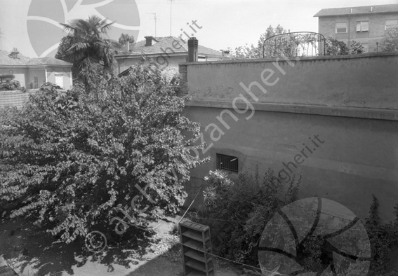 Casa Via Cavour retro corte interna albero