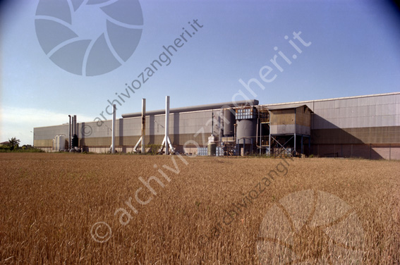 Forlisider ora Marcegaglia Specialties campo di grano capanone impianti Marcegaglia