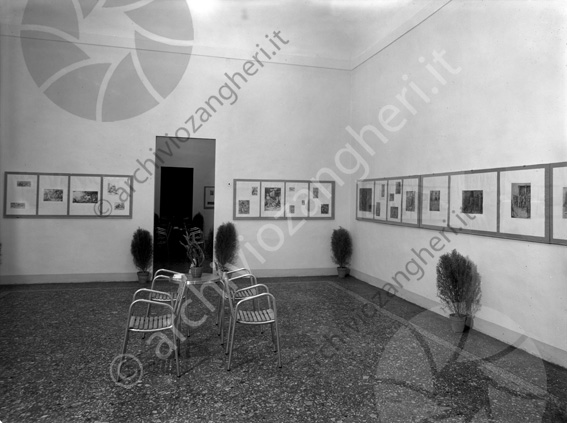 Biblioteca Malatestiana Mostra incisione II sala esposizione sedie piantine