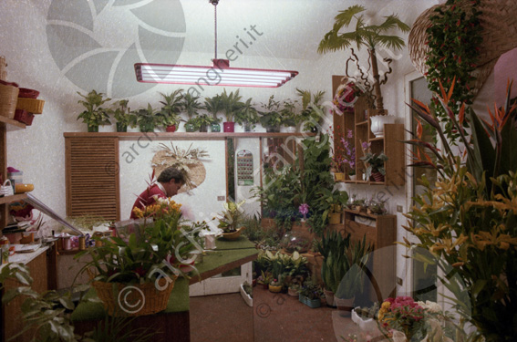 Interno negozio fiorista Rossini Interno negozio fiori e piante