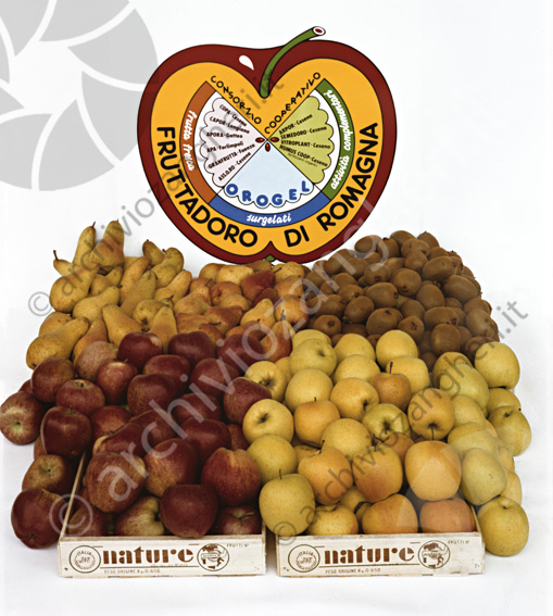 OROGEL fruttadoro Mele pere kiwi frutta d'oro di Romagna orogel copa capor longiano apora gatteo apa frlimpopoli Granfrutta faenza assoro arpor semedoro vitroplant humus coop frutta fresca attività complementari surgelati nature