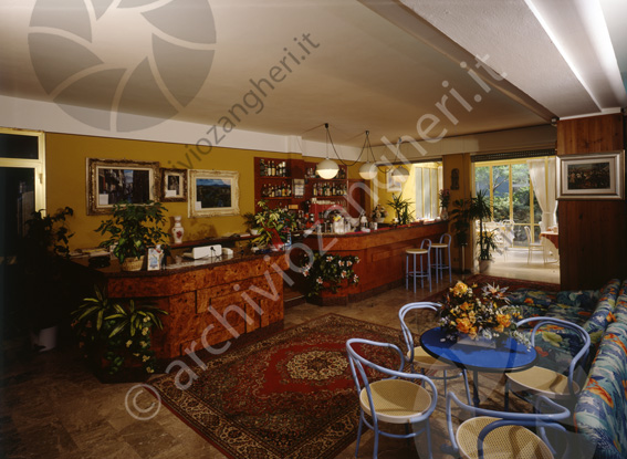 Hotel Helios Milano Marittima bar & reception sedie tavoli tappeto piante