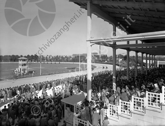 Ippodromo del Savio Corse al trotto Vista dalla tribuna torretta pista pubblico gente cavalli 