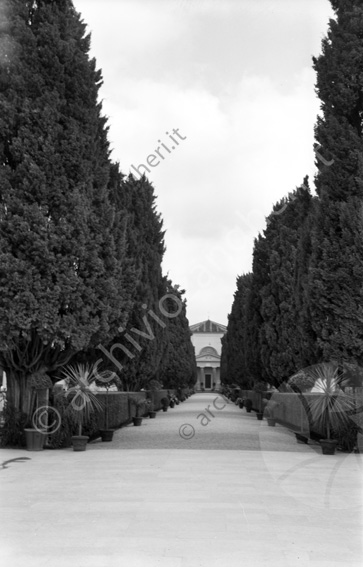 Cimitero di Cesena Viale alberato siepi piante cappella