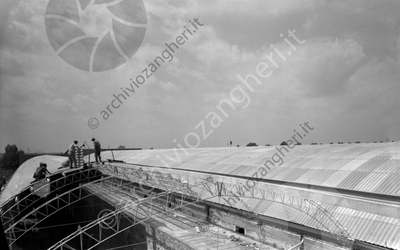 Frigo Tollini VII cantiere costruzione copertura capannone operai 
