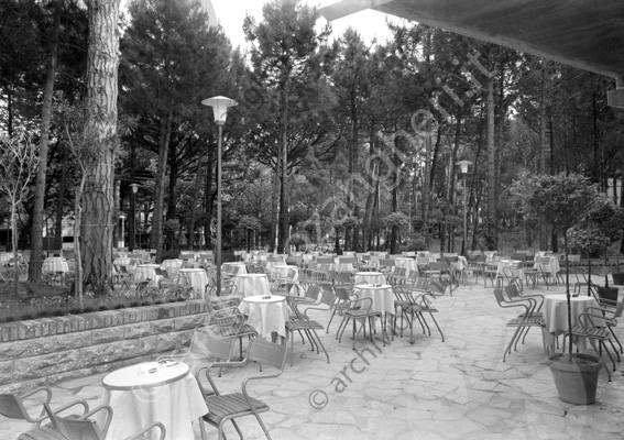 Hotel Ristorante Rosella tavoli all'aperto parco Milano Marittima giardino sedie pini