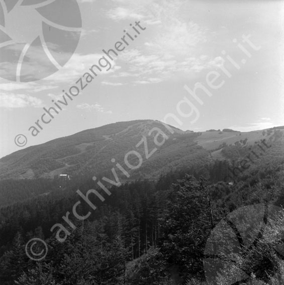Chalet della Burraia veduta Campigna montagna bosco 