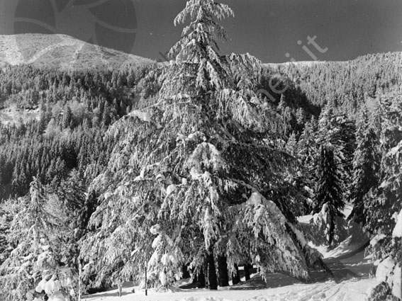 Veduta Campigna montagna panorama bosco neve albero