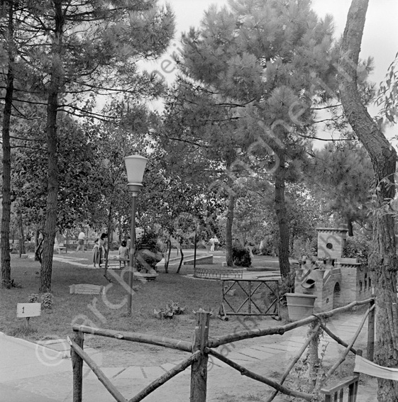 Minigolf Milano Marittima vialetto staccionata pini alberi gioco
