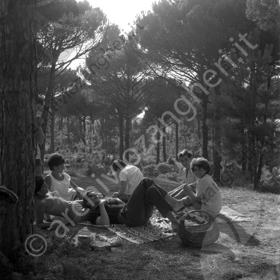 ragazzi in pineta pic nic Ragazzi e ragazze coperte picnic costume da bagno pini cesta giovani amici