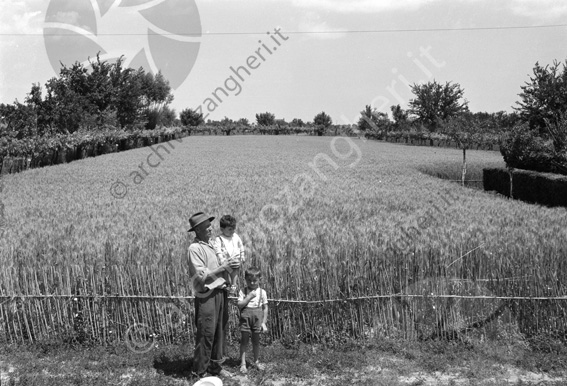 Consorzio Agrario Righi campo di grano contadini bambini