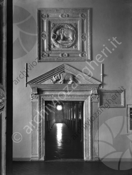 Biblioteca Malatestiana Portale Elefante stemma portale ingresso targa incisione marmo