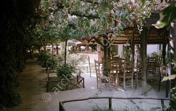 Tanara pizzeria Cervia Giardino esterno tavolini sedie alberi