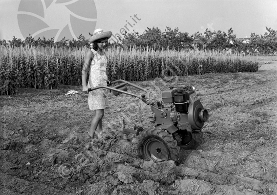 GB macchine agricole Ragazza con cappello e moto zappa Thrice campo coltivato terreno zolle contadina
