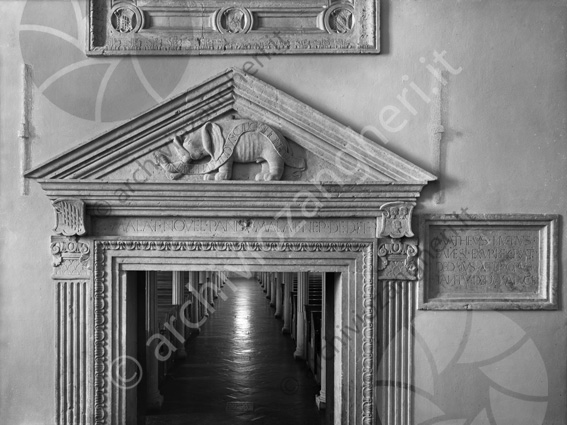 Biblioteca Malatestiana portale Elefante particolare stemma incisione pietra marmo