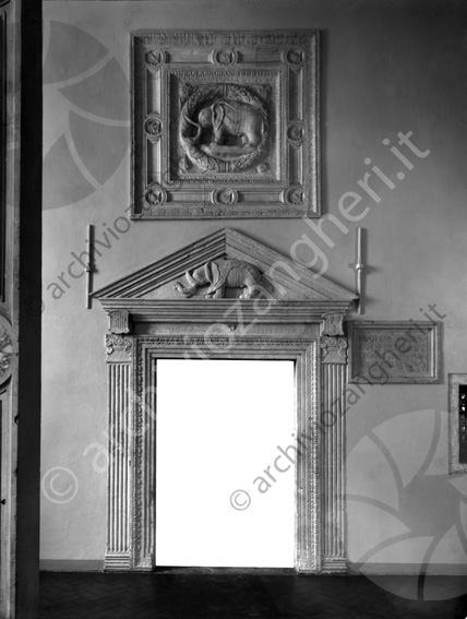 Biblioteca Malatestiana portale Elefante completo (maschera interno) stemma incisione pietra marmo