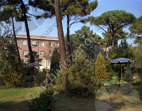Hotel Stella Maris Milano Marittima esterno Parco ombrelloni sedie pini giardino albergo