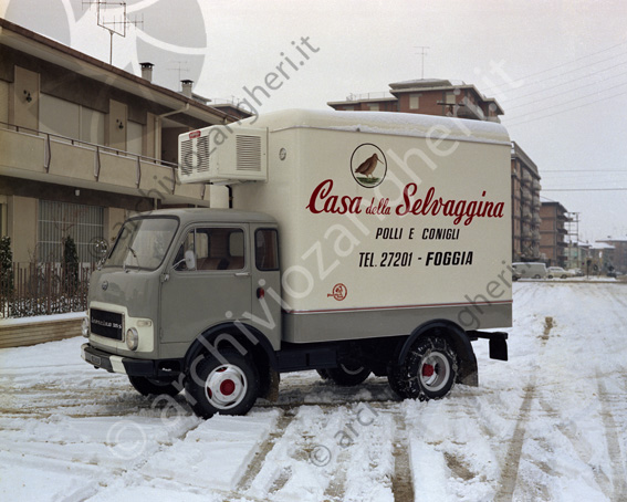 Tisselli camion casa della selvaggina camion polli conigli autocarro Foggia