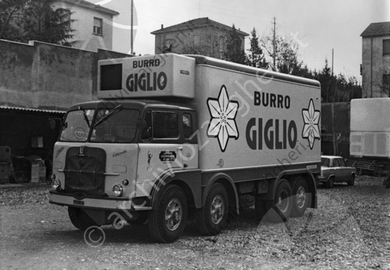 Tisselli camion Giglio camion autocarro burro 