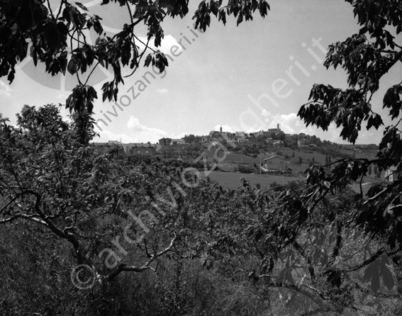 Roncofreddo panoramica Dancin Belfagor panorama vista città prato alberi 