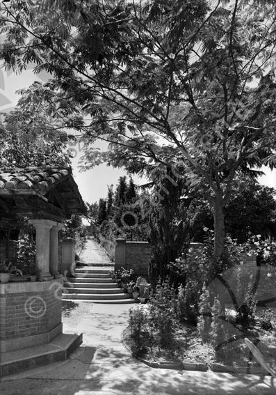 Villa Suzzi esterno pozzo scalette esterno casa cortile giardino alberi fiori pozzo scalini viale aiuola 