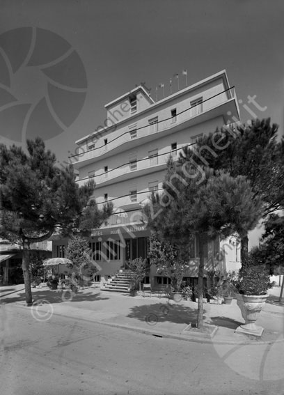 Hotel delle Nazioni Cesenatico esterno  edificio albergo viale alberato strada hotel ristorante ingresso bandiere terrazza 