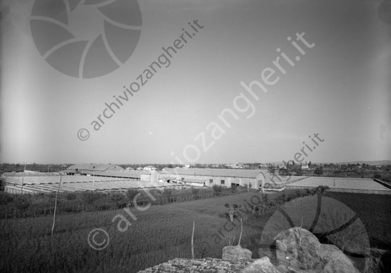 Fornace laterizi Santarcangelo Fornace laterizi Santarcangelo foto Romano campagna casa azienda industria fornace alberi cortile giardino piante capannoni