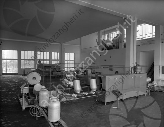 Centrale del latte Martorano interno azienda centrale fabbrica latte secchi contenitori nastro trasportatore macchinari industriali 