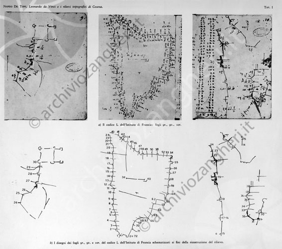 Piantina di Cesena disegni riproduzione pianta topografica città 