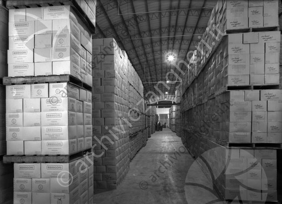 Stabilimento Arrigoni Piacenza magazzino magazzino industriale azienda scatole corridoio 