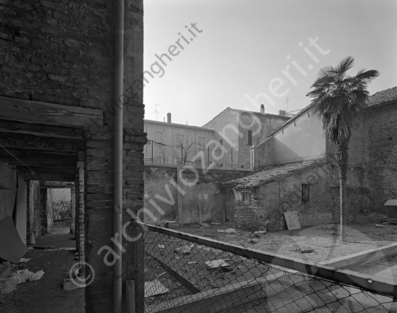 Banca popolare di Cesena part. esterno edificio esterno cortile pianta palma sporcizia immondizia portico