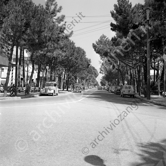 Viale Matteotti Milano Marittima Viale alberato auto strada pensione corallo