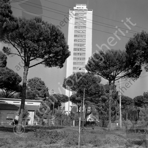 Grattacielo Milano Marittima Alberi giardino pini